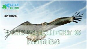 feather barb arrangement for reduced drag feather barb arrangement for reduced drag