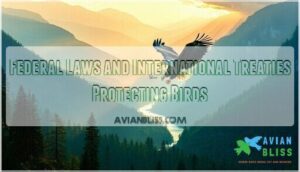 federal laws and international treaties protecting birds