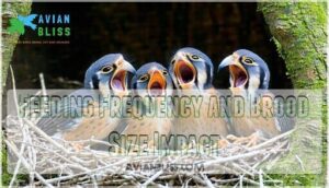 feeding frequency and brood size impact