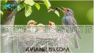 feeding methods and diet of chicks feeding methods and diet of chicks