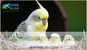 female aggression after motherhood