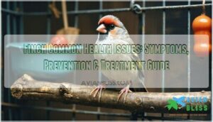 finch common health issues