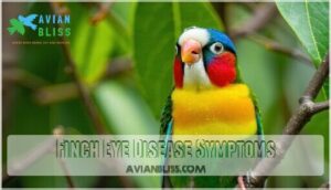 finch eye disease symptoms