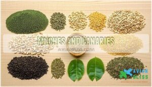 finches and canaries