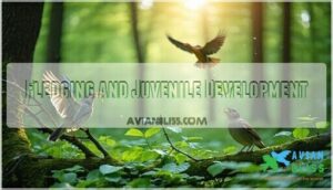 fledging and juvenile development