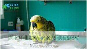 fluffed up feathers and lethargy