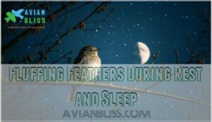 fluffing feathers during rest and sleep