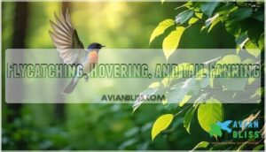 flycatching, hovering, and tail fanning