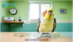 follow-up and monitoring