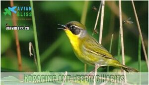 foraging and feeding habits