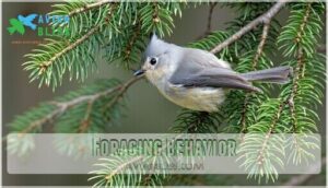 foraging behavior