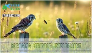 foraging behavior development
