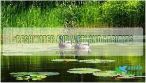 freshwater and wetland habitats