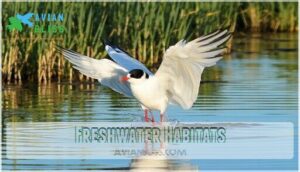 freshwater habitats