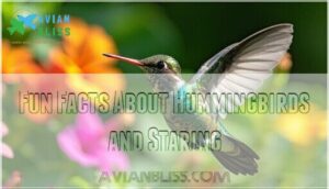 fun facts about hummingbirds and staring