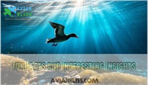 fun facts and interesting insights