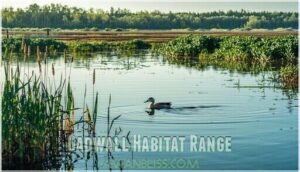 gadwall habitat range