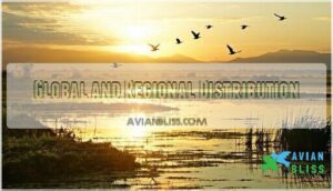 global and regional distribution