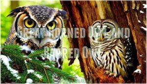 great horned owl and barred owl