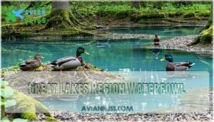great lakes region waterfowl