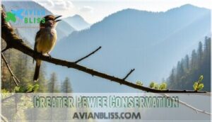 greater pewee conservation