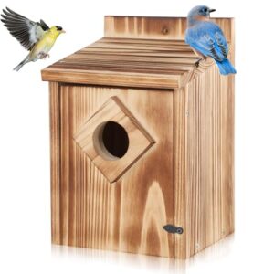 Gtongoko Bird Houses for Outside B0DK8D91CV