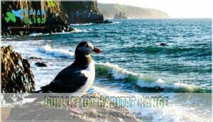 guillemot habitat range