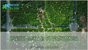 habitat loss and fragmentation