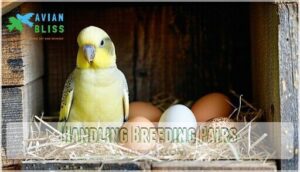 handling breeding pairs