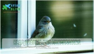 head trauma and concussions head trauma and concussions