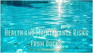 health and maintenance risks from ducks