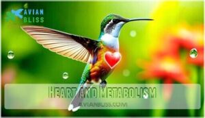 heart and metabolism heart and metabolism