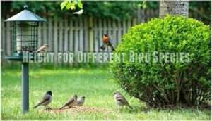 height for different bird species