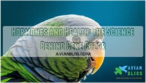 hormones and health: the science behind cere color