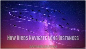 how birds navigate long distances how birds navigate long distances