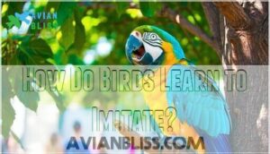 how do birds learn to imitate