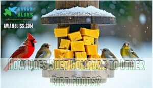 how does suet compare to other bird foods