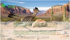 how does the greater roadrunner behave how does the greater roadrunner behave