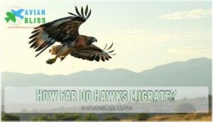 how far do hawks migrate