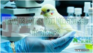 how is avian pox diagnosed in birds