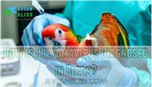how is polyomavirus diagnosed in birds