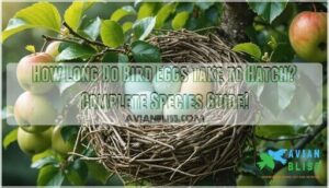 how long do bird eggs take to hatch