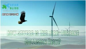 how severe is the bird-turbine collision risk