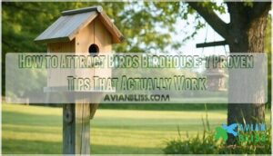 how to attract birds birdhouse