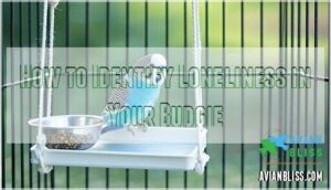 how to identify loneliness in your budgie