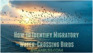 how to identify migratory water-crossing birds how to identify migratory water-crossing birds