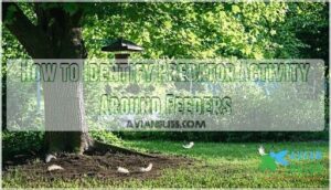 how to identify predator activity around feeders how to identify predator activity around feeders