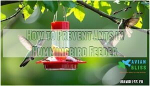 how to prevent ants in hummingbird feeder