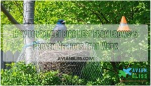 how to protect bird nest from crows