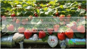 how to protect strawberries from birds